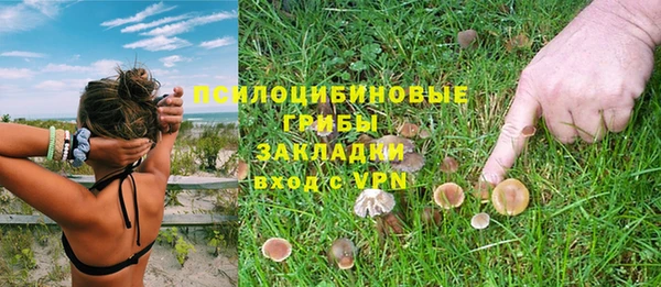 прущая мука Касимов